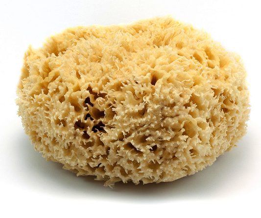 spongeblog for brentwood textiles