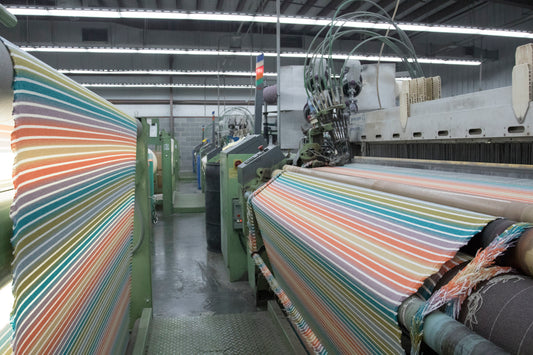 Coloring between the lines